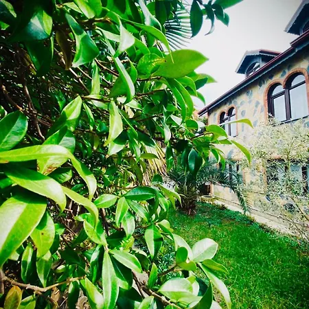 Casa Dell'arte Kerpe 招待所 *